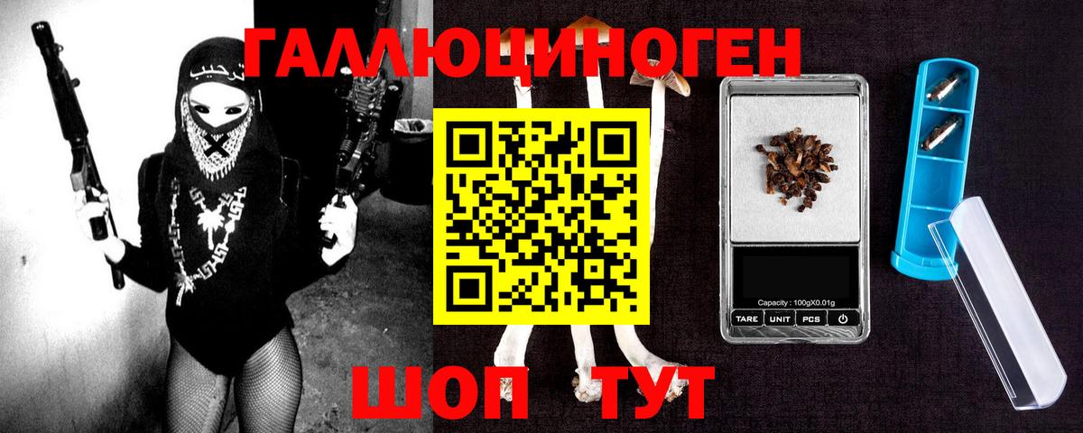 Галлюциногенные грибы Psilocybine cubensis Стрежевой